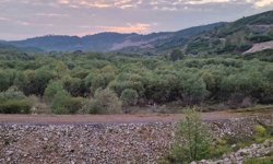 Düzce'de rafting botundan düşen kadının cansız bedeni Sakarya'da bulundu
