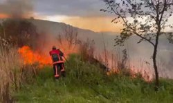 Elazığ'da otluk alanda yangın