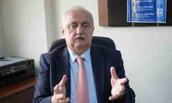 Fındıkta kırmızı alarm: 'Küresel iklim olayları, Karadeniz'de fındık sulamasını zorunlu hale getirdi'