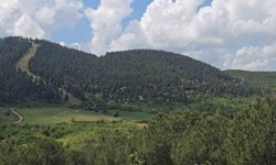 Gökyüzünde pelikan şöleni