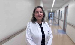Hantavirüste gıda hijyeni
