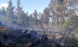 Hatay'da ormanı yangını çıktı