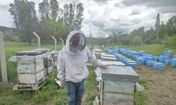Hobi olarak 5 kovanla başladı, zamanla 250 kovana çıkardı