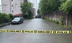 Hopa'da yağış sonrası heyelan: Dev kayalar yolu kapattı