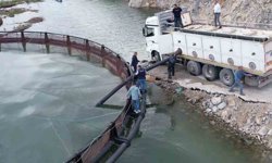 İhraç edilecek 'Türk somonları' için yavru balıklar suya bırakıldı