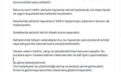 İstanbul Valisi Davut Gül: 'Sahipsiz hayvanların yüzde 46'sı toplanmıştır; kalanların tamamı da toplanacaktır'