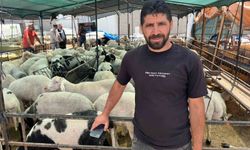 İzmir kurban pazarlarında sosyal medya rüzgarı