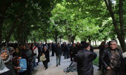Kayseri'de 300 bin kök organik domates fidesine yoğun ilgi