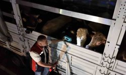Kurban Bayramı öncesi İstanbul'da sevk noktalarında yoğun mesai