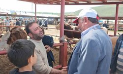 Kurban pazarlarında hareketlilik başladı