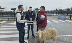 Kütahya'da kurbanlık pazarında sahte para ve dolandırıcılık uyarısı