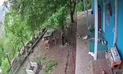 Malatya'da deprem paniği: Kedilerin panikle kaçışı kamerada
