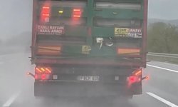 Otoyolda tırdan sarkan tavuklar kameraya yansıdı