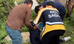 Şemdinli'de minibüs yoldan çıktı: 3 yaralı