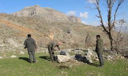 Şırnak'ta dron ve foto kapanlarla kaçak avcılık gözetim altına alındı