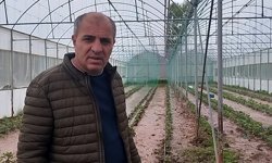 Sivas'ta dere taştı: Sera ve bahçeler sular altında kaldı