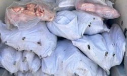 Tekirdağ'da 1,5 ton iç yağ ve 140 kokoreç imha edildi