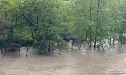 Tokat'ta yazın serinleten kamelyalar sular altında kaldı