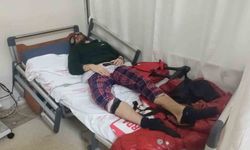 'Türk Örümcek Adam' yılan otu nedeniyle hastanelik oldu