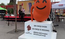 Türkiye'den dijital dünyaya çağrı: Böbrek sağlığının da emojisi olsun