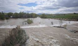 Türkiye'nin en uzun nehri Kızılırmak'ı besleyen Yıldız Irmağı coştu