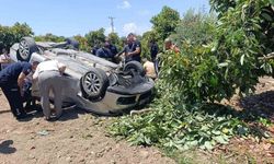 Viraj alamayan otomobil avokado bahçesine uçtu