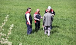 Yağışlar sonrası çiftçilere hububat tarlalarında hastalık riski uyarısı: 'Hastalık çıkmadan önce alınan tedbirler verimi korur'