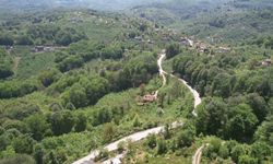 Zonguldak ormanları baharın gelişiyle dronla görüntülendi