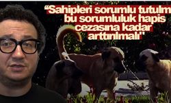 Oytun Erbaş: Köpek Sahiplerine Hapis Cezasına Kadar Sorumluluk Getirilmeli