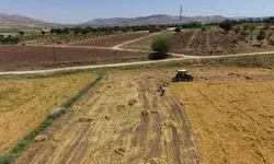 Kuraklığın Ardından Altın Sezon: Gercüş Ovasında Mercimek Mesaisi Başladı