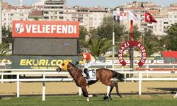 100. Gazi Koşusu'nu Halis Karataş ile Bay Nalçakan kazandı