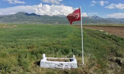 149 yıldır Erzurum Ovası'nda nöbet tutan şehide vefa