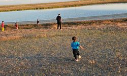 Adilcevaz'daki göletler yağışlarla yeniden doldu
