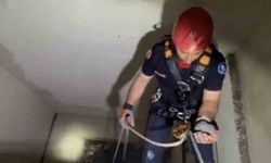 Apartman boşluğuna düşen yavru martı ekiplerce kurtarıldı