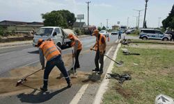Aydın'da trafik kazası: 1 ölü