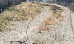 Ayvacık'ta bir evin bahçesinde çıkan yangın büyümeden söndürüldü