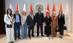 Bakan Çiftçi: 'Yıl başına kadar sokak köpeklerinin hepsini barınaklara toplatacağım'