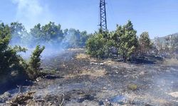 Bingöl'de çıkan orman yangını büyümeden kontrol altına alındı