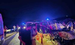 Bingöl'de panelvan yola çıkan ata çarptı: 1 ölü, 2 yaralı