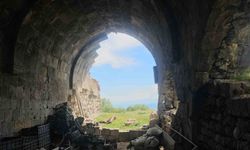 Bitlis'te Tarihi Han Zamana Direniyor