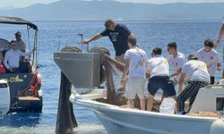 Bodrum'da 2 bin metrekare hayalet ağ temizlendi, binlerce yavru balık doğaya bırakıldı