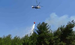 Çanakkale'de tarım arazisinde çıkan yangın kontrol altına alındı