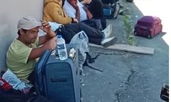 Çay toplamak için İran'dan Rize'ye getirilen yabancı işçilerin darbedildiği iddiası