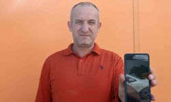 Devriye attığı esnada binaya çarpan yaralı şahini kurtardı