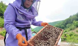 Doğaya aşık üretici kadının başarı hikayesi