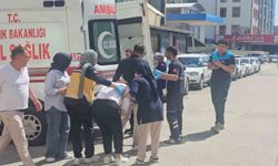Elazığ'da Four Points By Sheraton Otel'de yangın: 10 kişi dumandan etkilendi