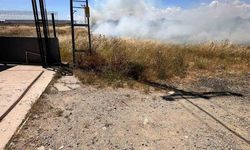 Elektrik tellerine çarpan kuş yangın çıkardı