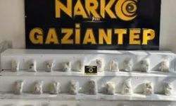Gaziantep'te 22 kilo uyuşturucu ele geçirildi: 8 şahıs tutuklandı