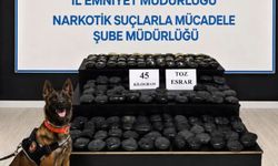 Hakkari'de aranan şahıs 45 kilo uyuşturucuyla yakalandı