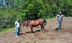 Hizan'da traktörün giremediği tarlalar karasabanla sürülüyor